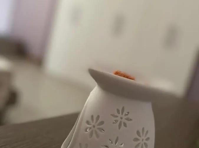 公寓 拉基兹塔公寓